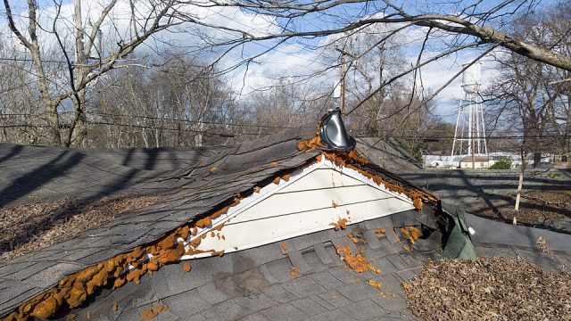 Sagging deteriorated shingle roof with visible decay along the ridge