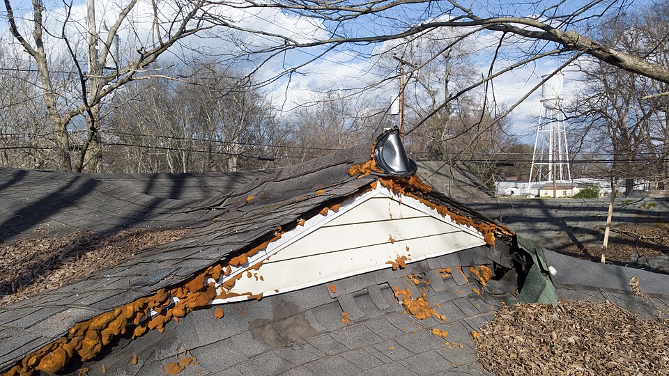 Visible sag and decay along a roof plane means moisture has been at work for years.