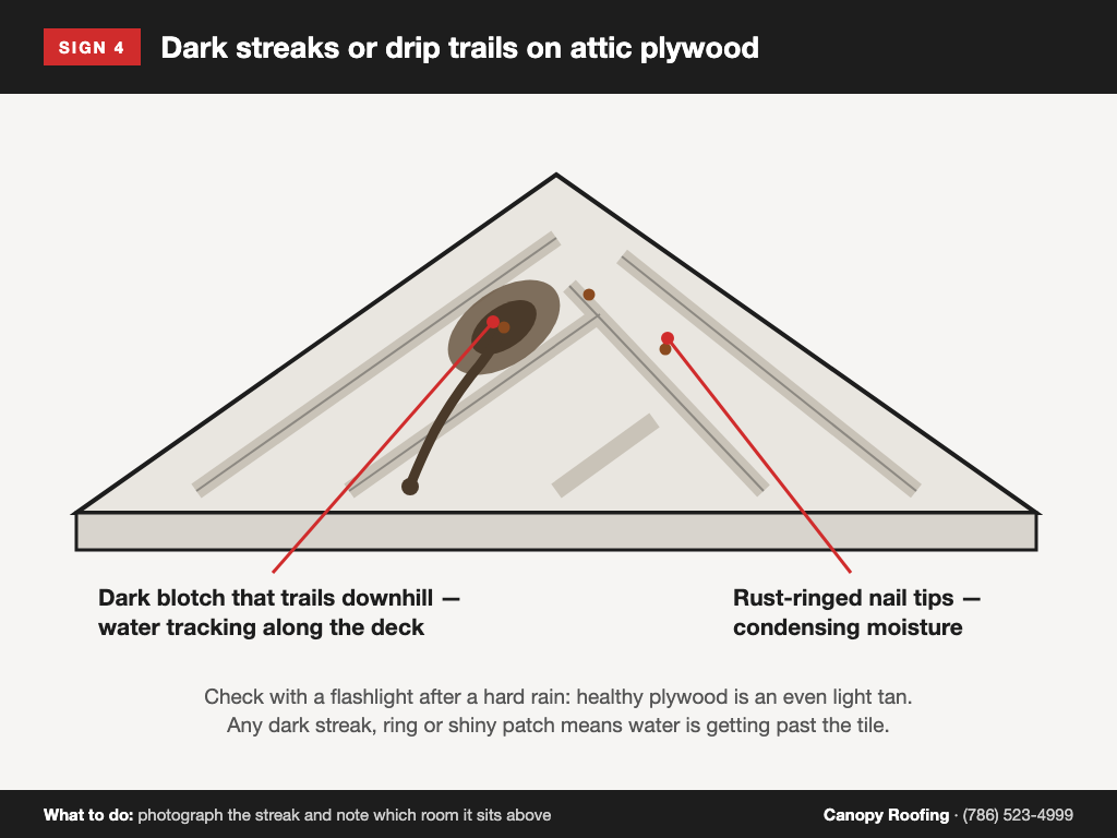 Diagram of dark water streaks and drip trails on attic plywood decking, with rust-ringed nail tips labeled