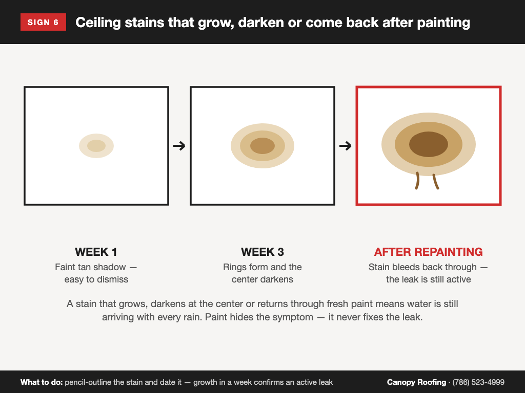 Diagram of a ceiling water stain growing over three weeks and bleeding back through fresh paint